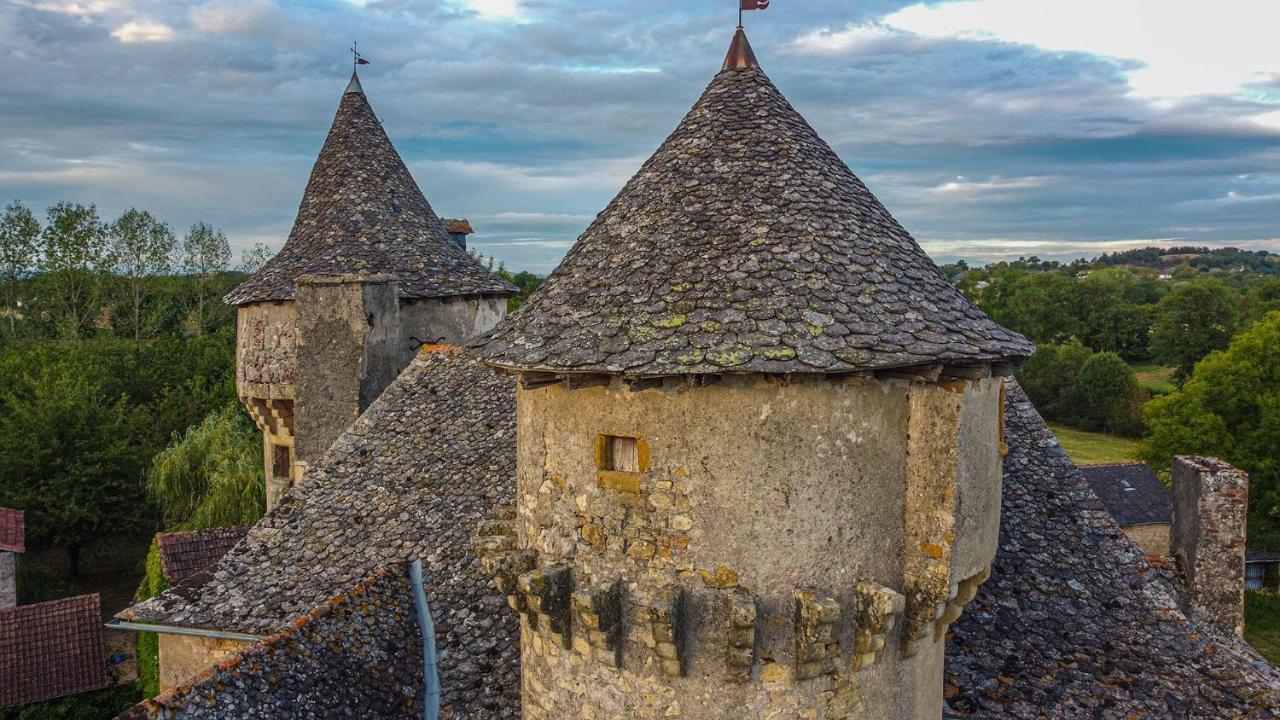 Château de La Garinie Lugan  Exterior foto